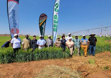Le projet de production d'énergie solaire et d'irrigation par pompage d'eau de Wanjin officiellement inauguré, stimulant le développement agricole au Zimbabwe