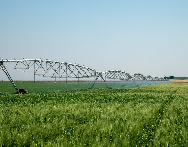 L'irrigation à pivot central JNTECH de 168 kWc alimentée par l'énergie solaire a été exploitée avec succès au Zimbabwe