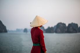 Le Vietnam réduit les subventions pour les tarifs de rachat garantis des panneaux photovoltaïques sur les toits