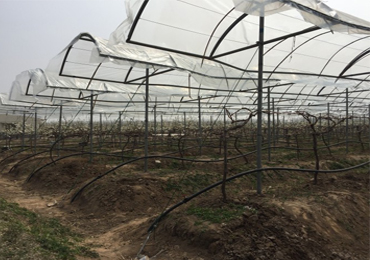 Projet d'irrigation goutte à goutte solaire de 7,5 kW à Xuzhou
