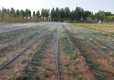 Projet de démonstration d'irrigation des terres agricoles dans le nord du Shaanxi